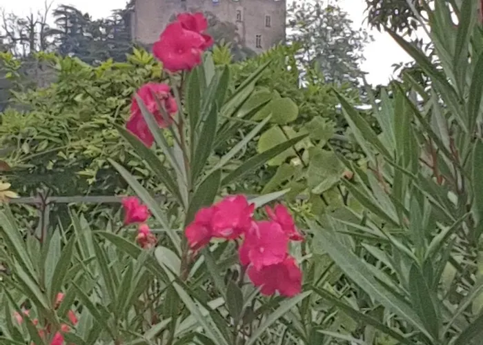 Les Nuances De Melis'