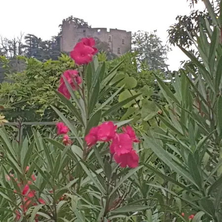 Les Nuances De Melis'